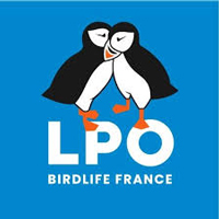 LPO