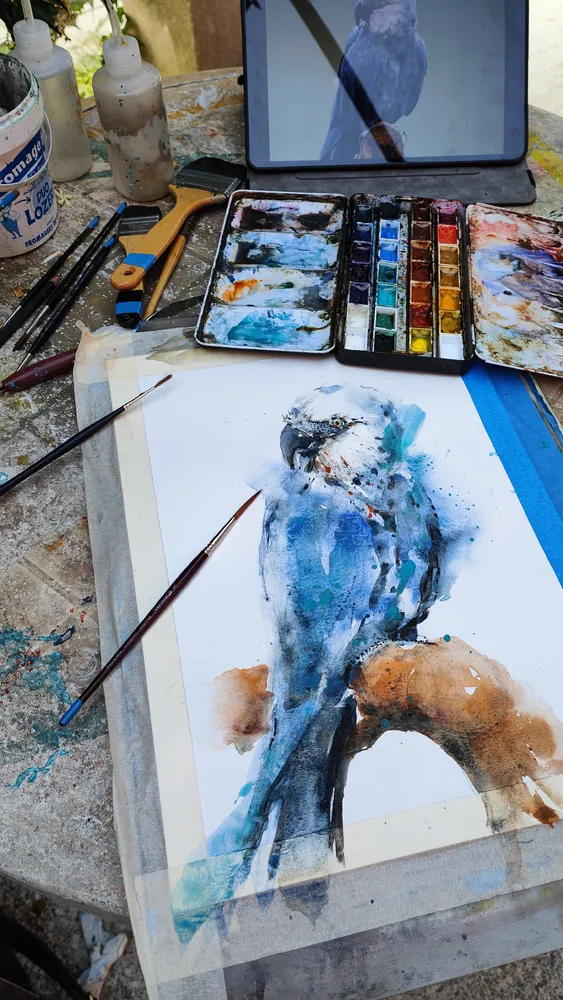 Ma démarche artistique