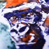 Miroir de l'Âme Sauvage v3