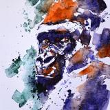 Miroir de l'Âme Sauvage v5